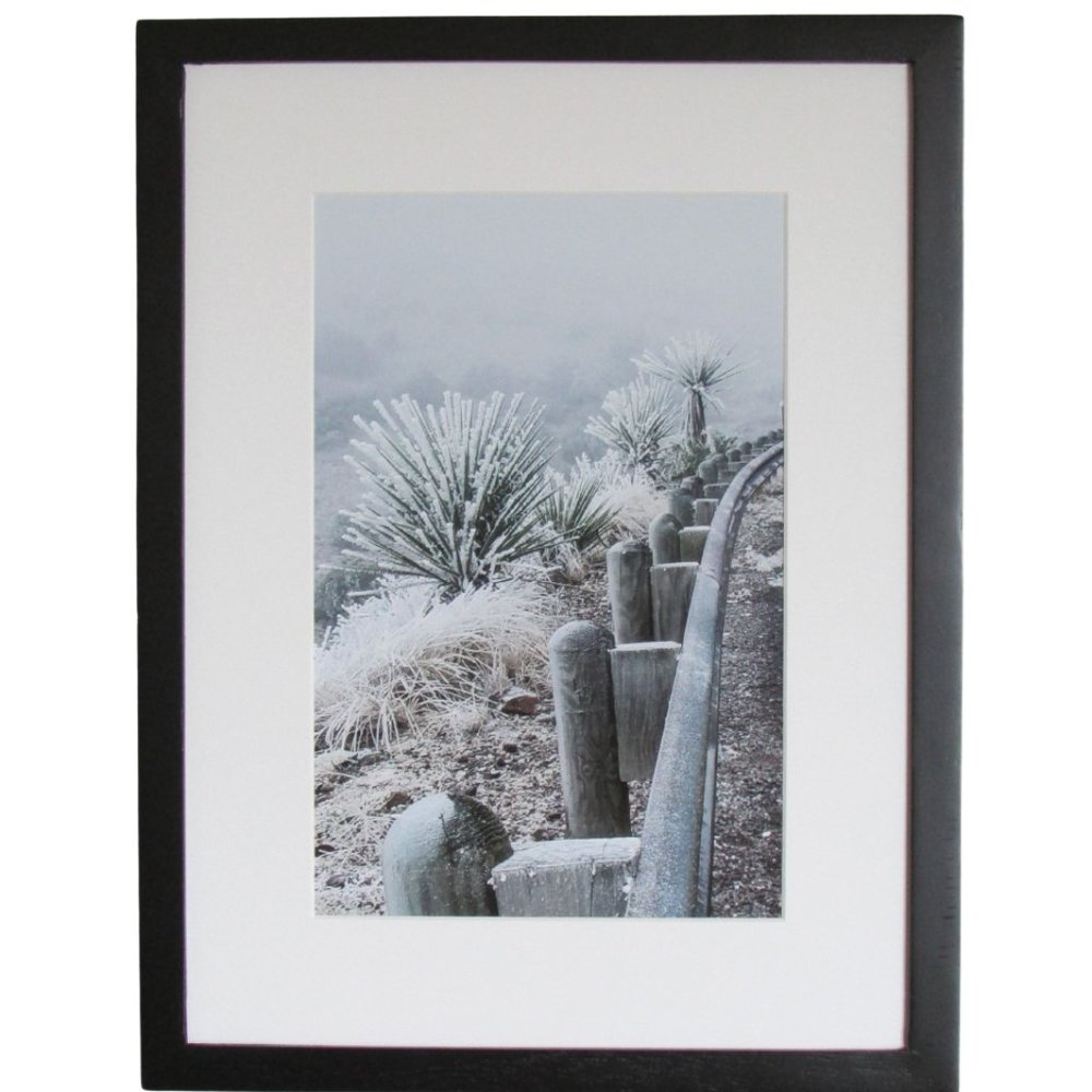 NWT Framed Limited Edition Photography - West Texas Frozen Fog